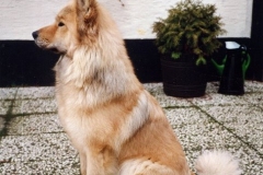ArdaMeererbusch_01_A