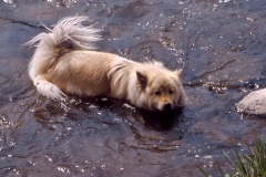 Aycka-05.2003.003_A
