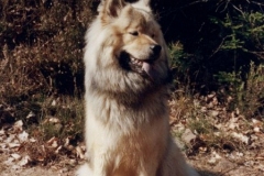 Aycka-1994_04_A