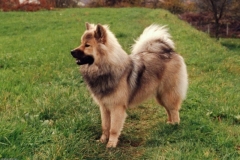 Aycka-Apr.-1994_03_A