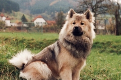 Aycka031994_02_A
