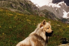 Aycka0797_01