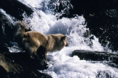 Aycka0797_04