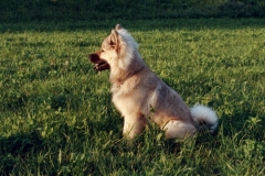 Aycka0993_01_A