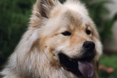 Aycka0996_01_A