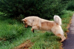 Aycka0997_2_A