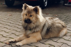 Aycka1093_01_A