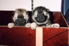 AyckaArved4Wochen_01_A