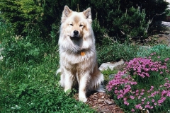 AyckaFruehj_1998