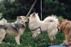 AyckaundMama0594_01_A