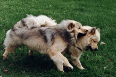 Ayckaundmama0594_03_A