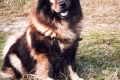 BiasGoldenensteig_01_A