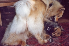 Dez2001_02