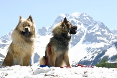 Img00009A_12062004_A