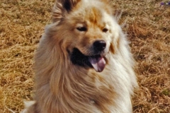 Maerz_2003_01_A