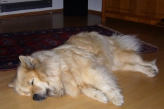 P1000079_A