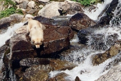 Rueckweg02_A_A