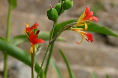 IMG00006AB