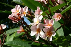 IMG00014AB