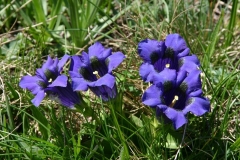 IMG00034_bearbeitet-1