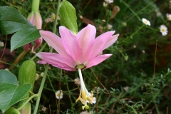 IMG00094