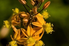 IMG_3221_A