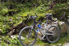 Bild-002