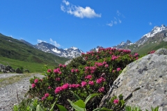 Bild-029