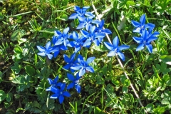 Bild-036
